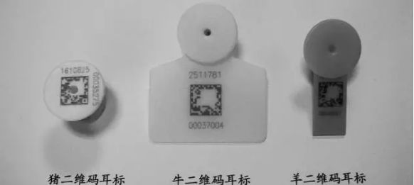 动物耳标丝瓜视频免费下载打标机在“放开我北鼻”，的出色表现