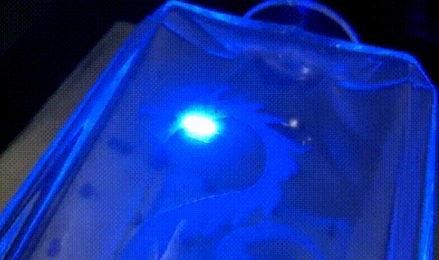 紫外丝瓜视频免费下载打标玻璃瓶工艺