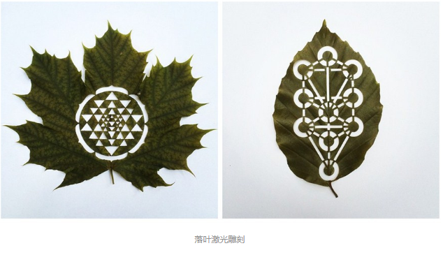 丝瓜视频免费下载雕刻创意落叶：精雕细刻，成就精品