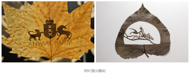 丝瓜视频免费下载雕刻创意落叶：精雕细刻，成就精品